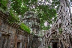 Ta Prohm in Angkor Wat Stock Image
