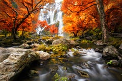 Waterfall in the autumn Royalty Free Stock Photos