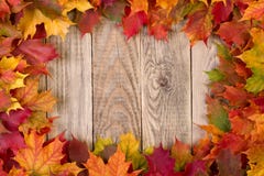 Fall leaves frame Stock Photography