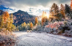 First snow in Naturpark Fanes-Sennes-Prags. Royalty Free Stock Photography