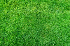 Grass Texture Of Football Stock Photography - Image: 34608722