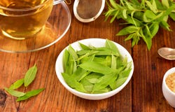 Lemon verbena leaves and tea on table. Stock Photo