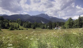 Montagne polacche di Tatra vicino Fotografie Stock
