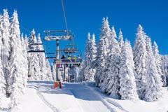Vibrant active people winter image with skiers on ski lift, snow pine trees, blue sky Royalty Free Stock Photo